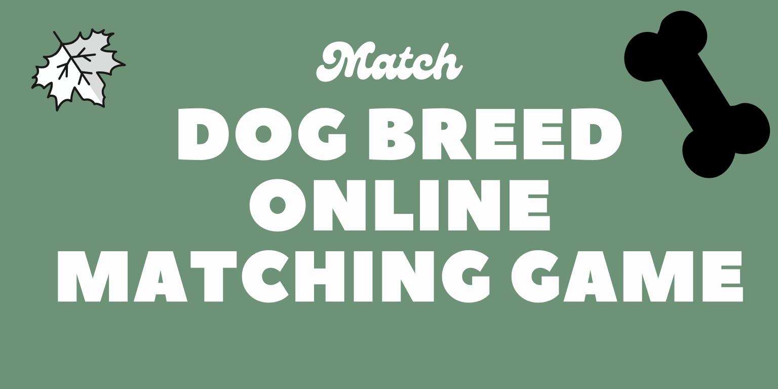 Match The Dog Breed