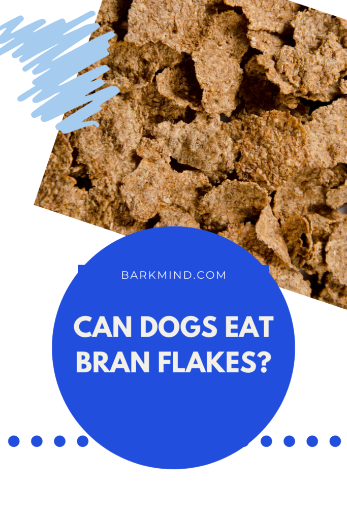 can dogs eat bran flakes?
