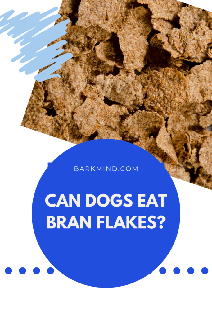 is bran bad for dogs