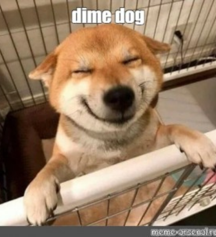 Top 30 Most Adorable Smiling Dog Memes