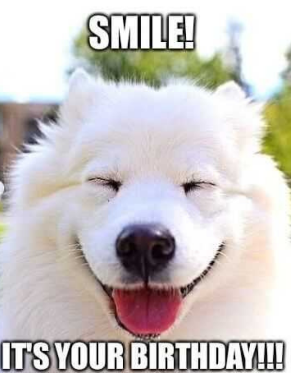 Top 30 Most Adorable Smiling Dog Memes