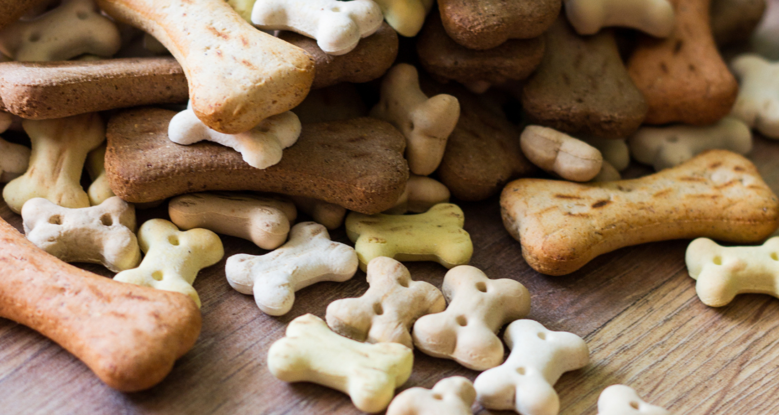 Make Your Pup Smile with These Three Homemade Dog Biscuit Recipes