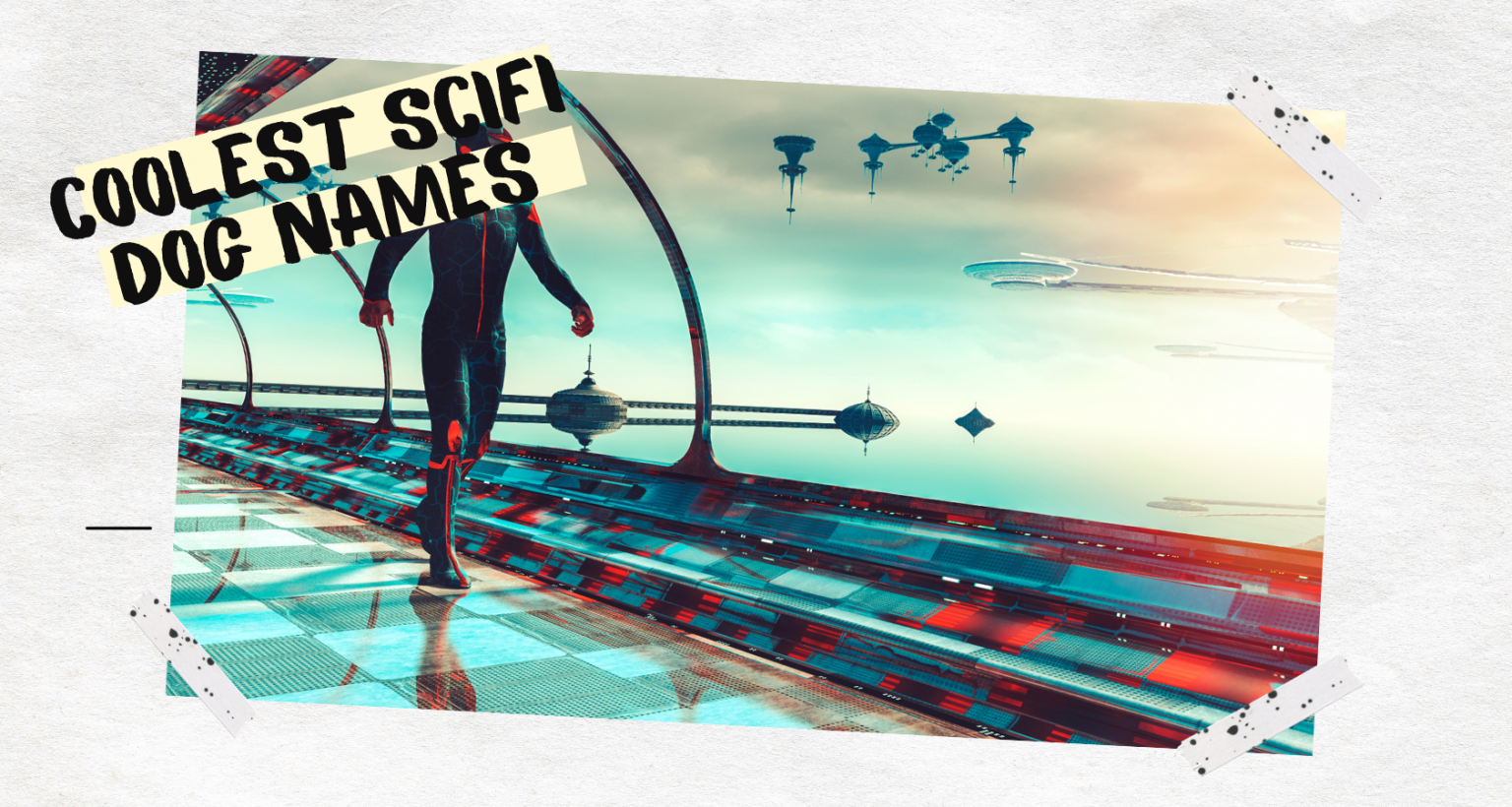 The 250 Most Unique and Dog Names Barkmind