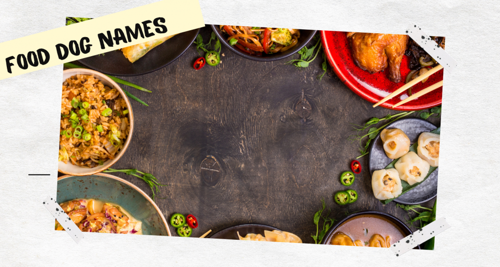 The 250 Most Unique and Dog Names Barkmind