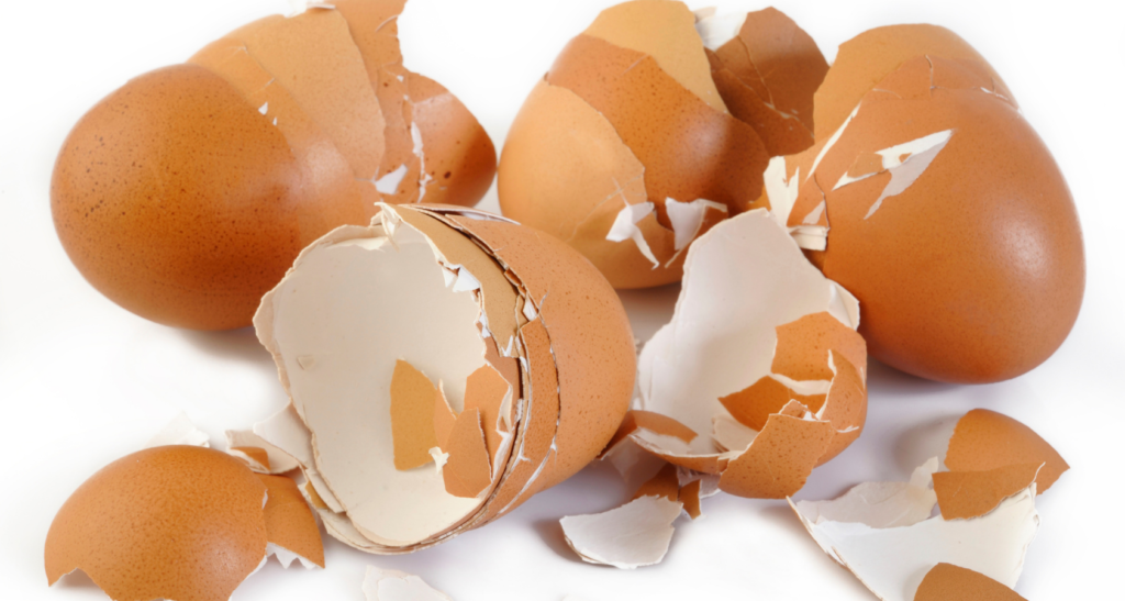 Can Dogs Eat Eggshells? (Are They Safe)? Barkmind