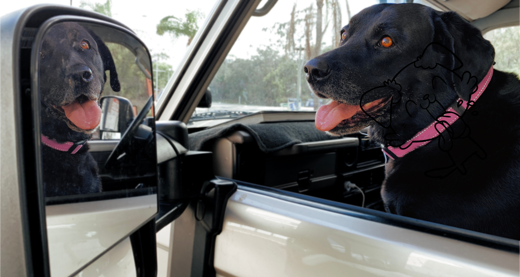 Reasons Why Dogs Pant in Cars (Experts Explain)