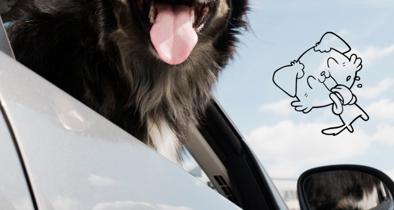 Reasons Why Dogs Pant in Cars (Experts Explain)