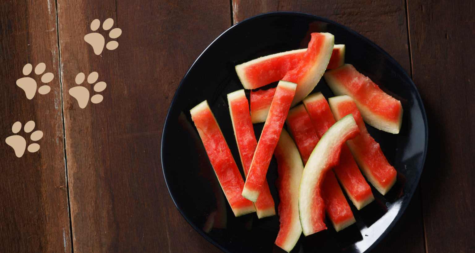 Can Dogs Eat Watermelon Rind? Revealed! Barkmind