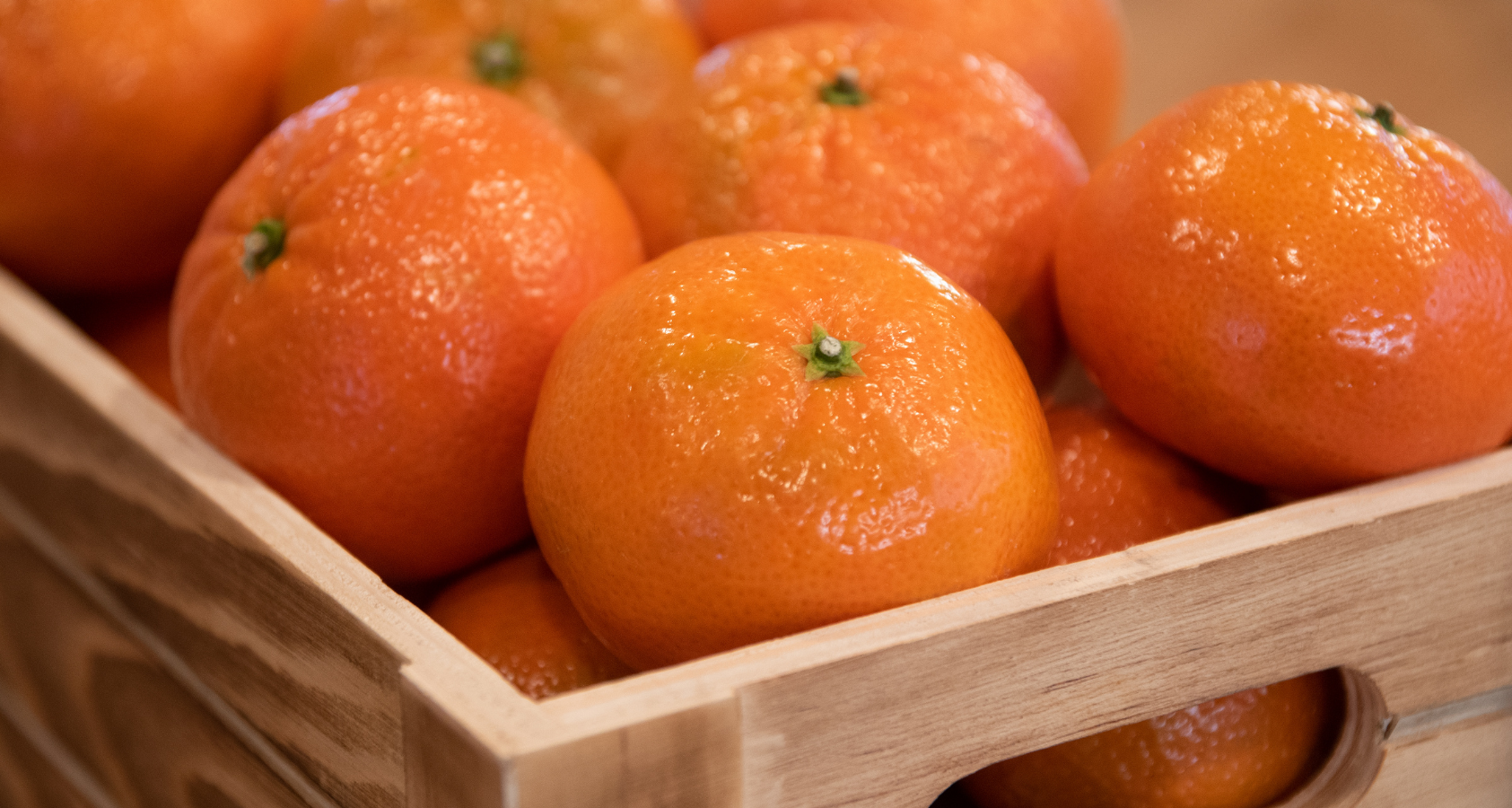 are mandarin oranges safe for dogs