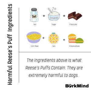 Can Dogs Eat Reese's Puffs?
