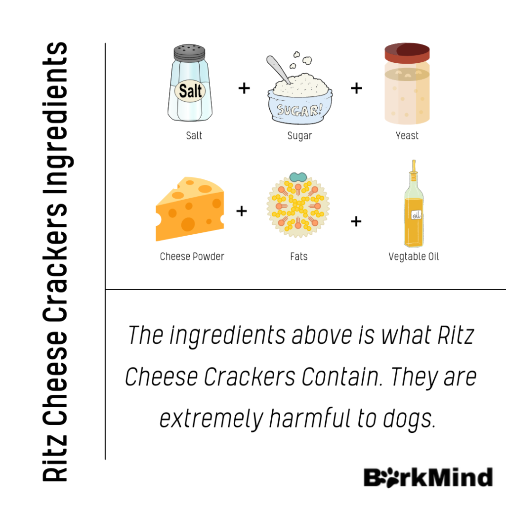 Can Dogs Eat Ritz Cheese Crackers? You Need To Know This!