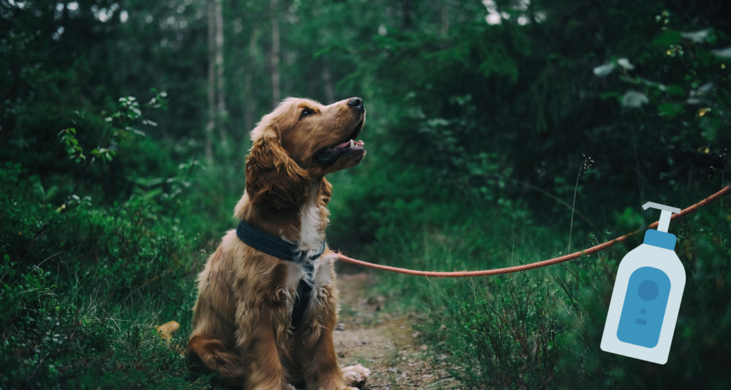 what happens if a dog licks lotion