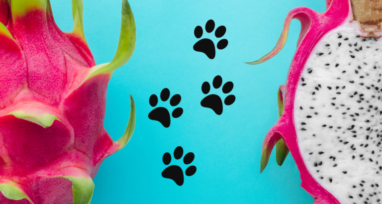 Can Dogs Eat Dragon Fruit? ANSWERED!