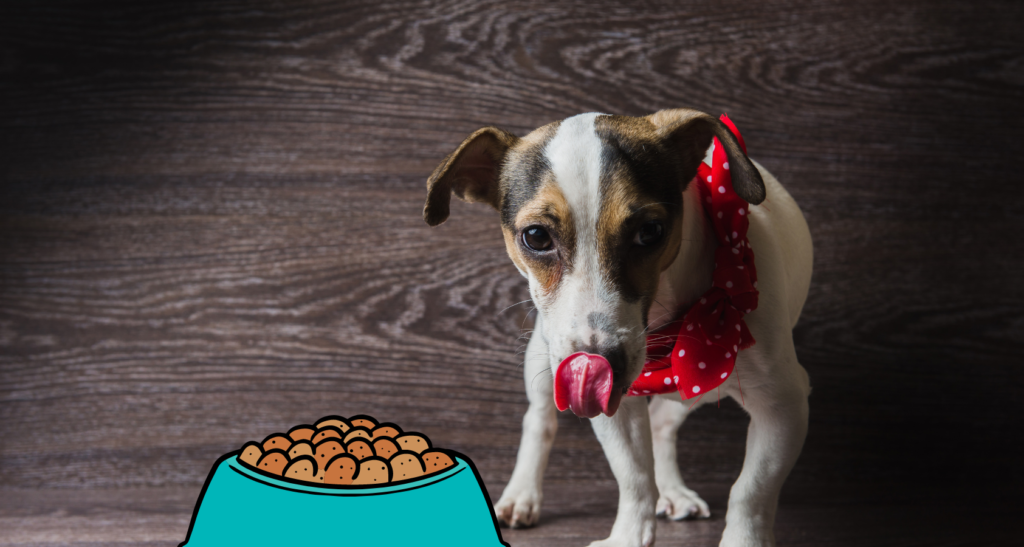How Long Can a Dog Go Without Eating? Barkmind