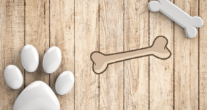 How Many Bones Does a Dog Have? - Barkmind