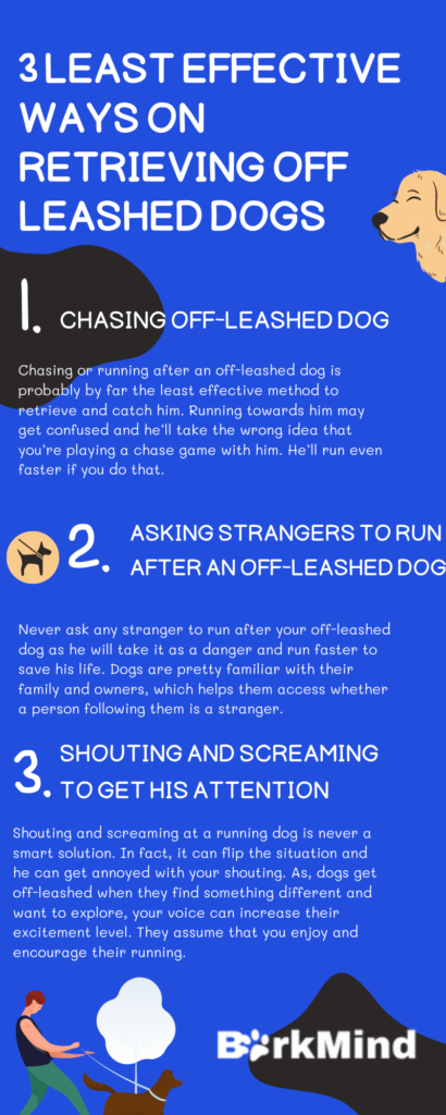 Least Effective Method to Retrieve a Dog That Has Got Off-Leash!