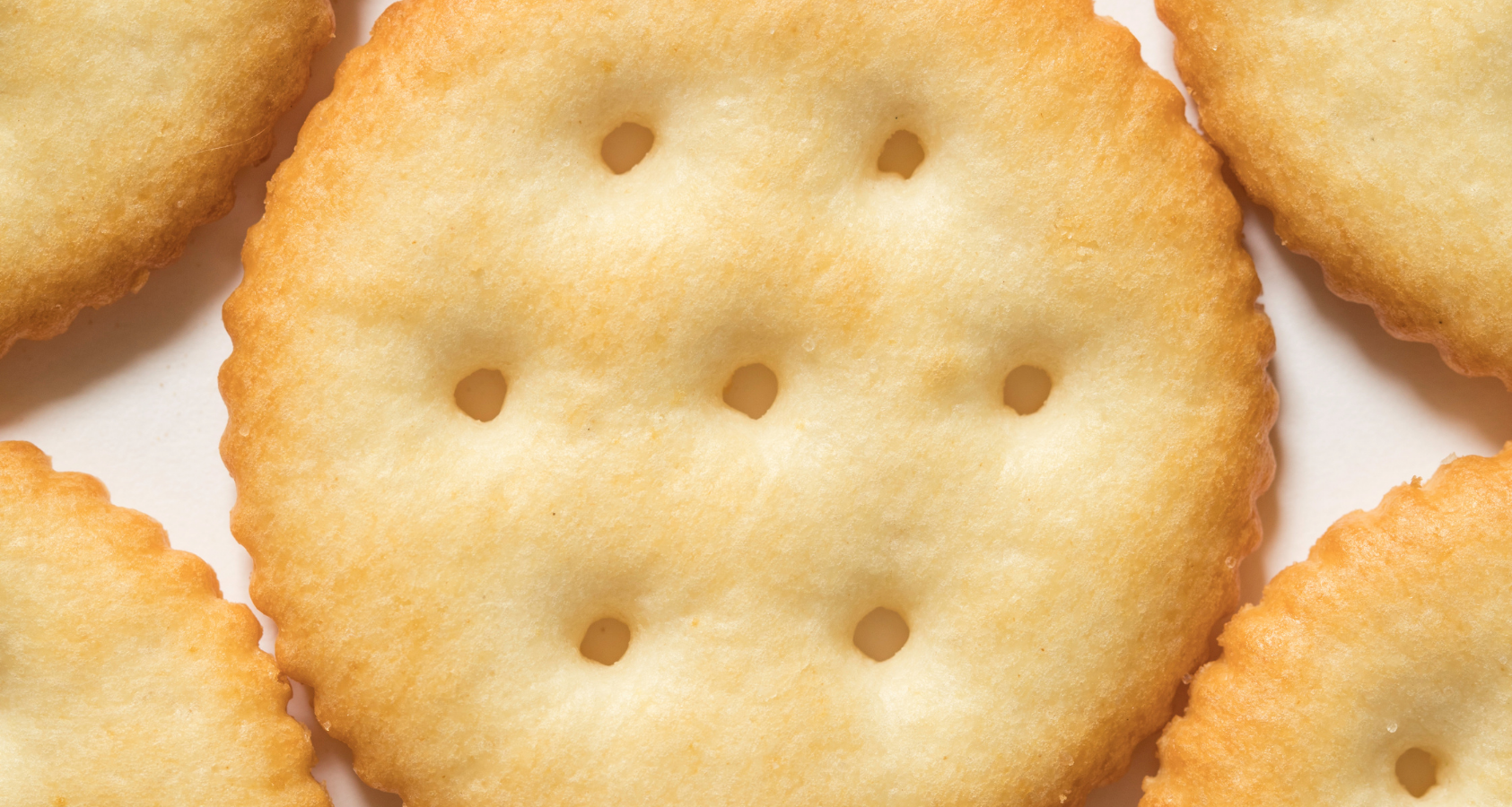 Can Dogs Eat Ritz Cheese Crackers? You Need To Know This!