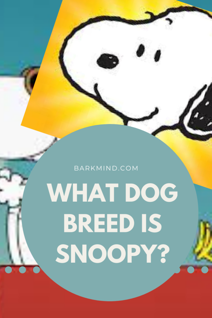 What Kind of Dog Breed Is Snoopy? Comic Revealed!