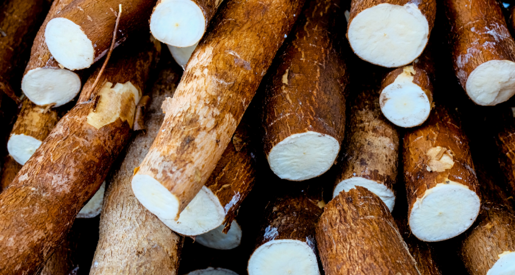 Can Dogs Eat Cassava? Chips/Flour This Will Surprise You!