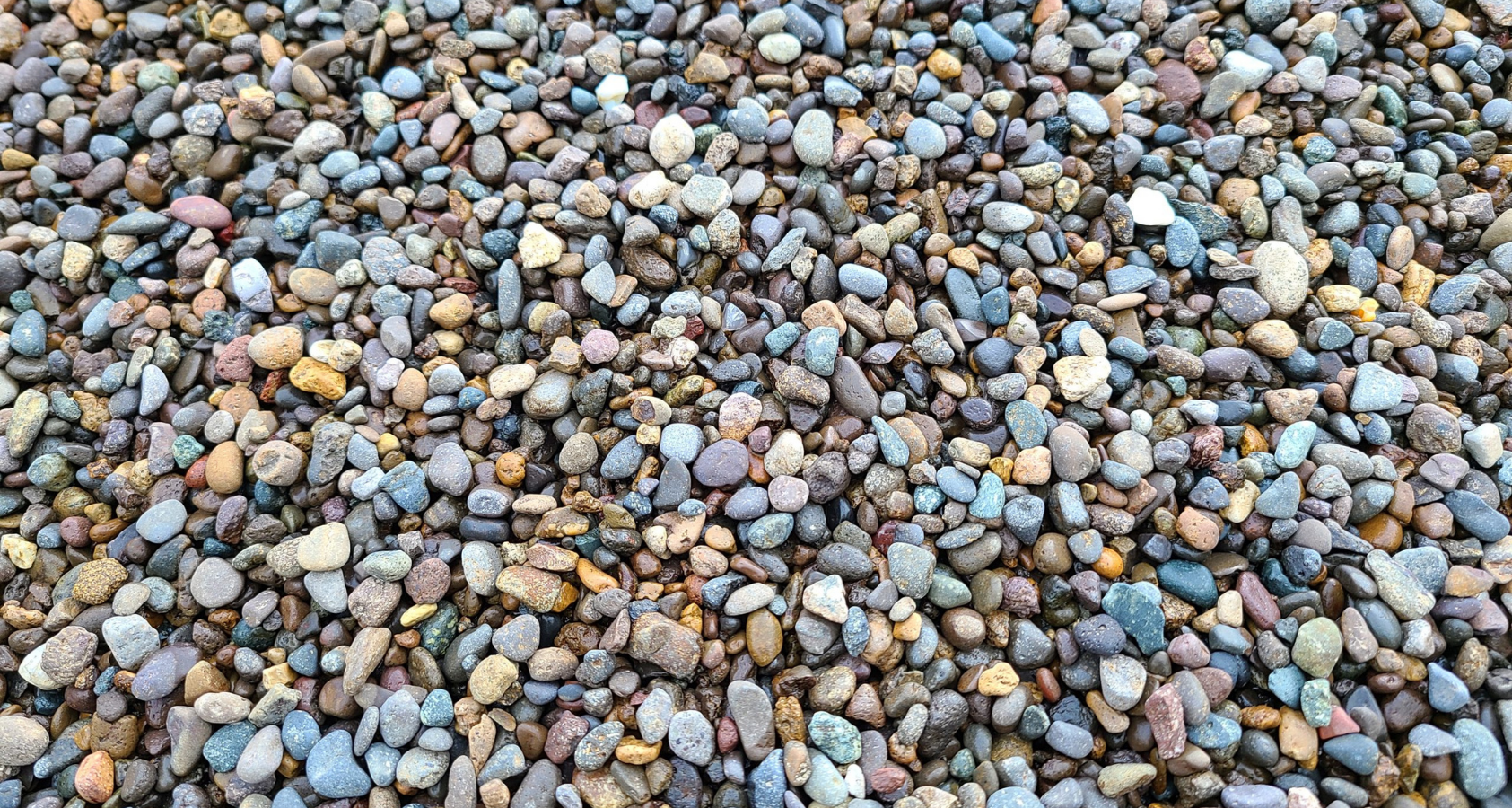 Is Pea Gravel Safe for dogs? | Landscaping Rocks