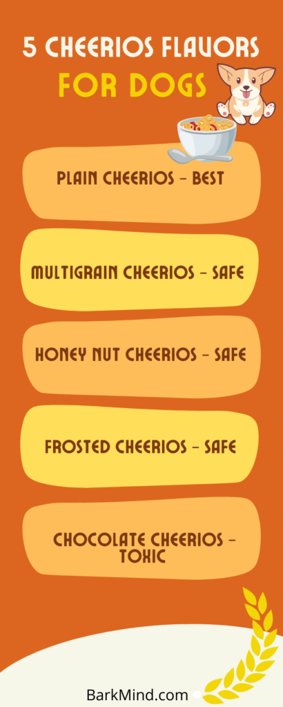 are honey nut cheerios bad for dogs