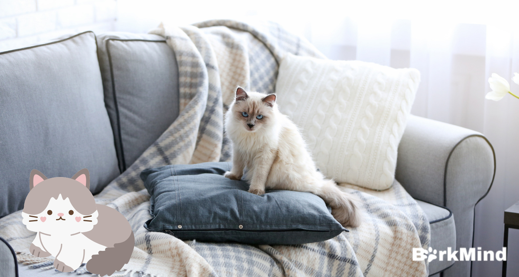 Are Ragdoll Cats Hypoallergenic? What You Need To Know 