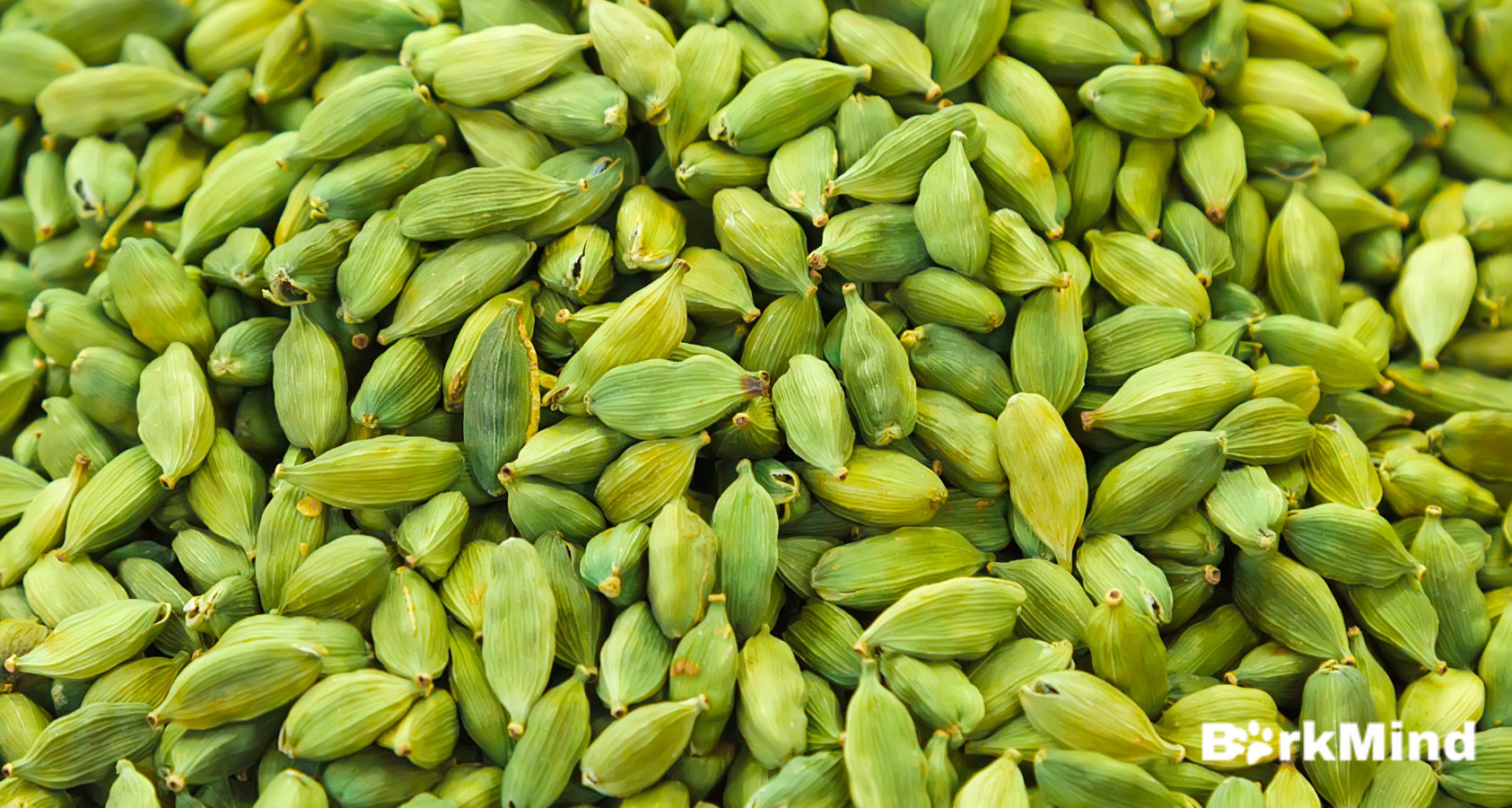 Can Dogs Eat Cardamom? Answered! 