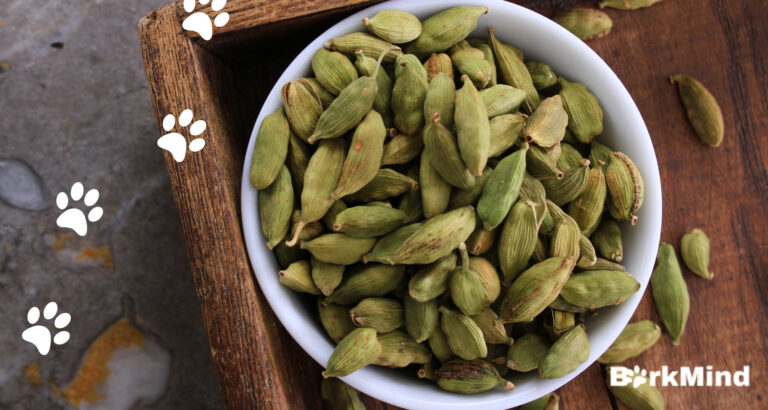 Can Dogs Eat Cardamom? Answered! 