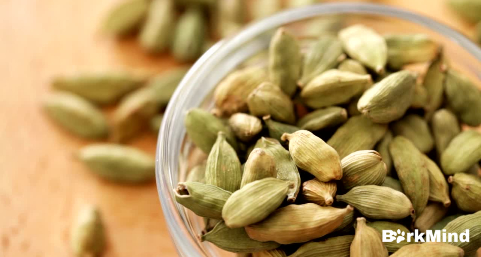Can Dogs Eat Cardamom? Answered! 