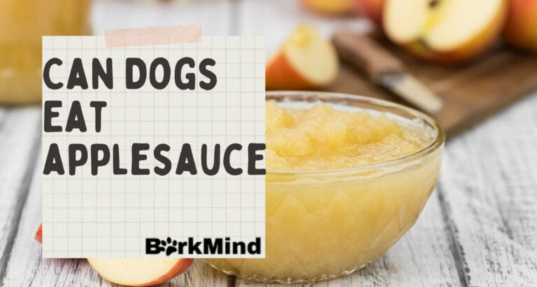 Can Dogs Eat Applesauce? Must Know! 