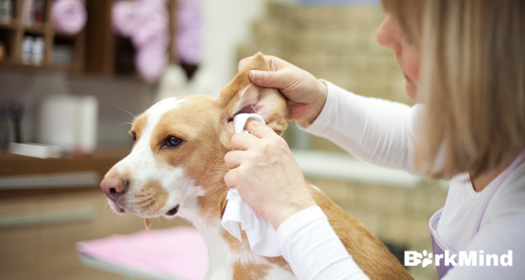 Dogs Ear Wax and Ears. What's the Deal?