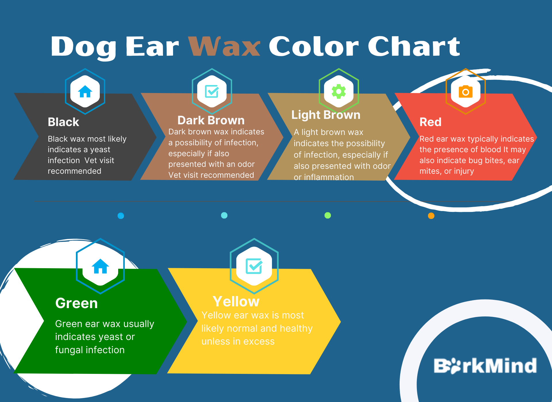 Dogs Ear Wax and Ears. What's the Deal?