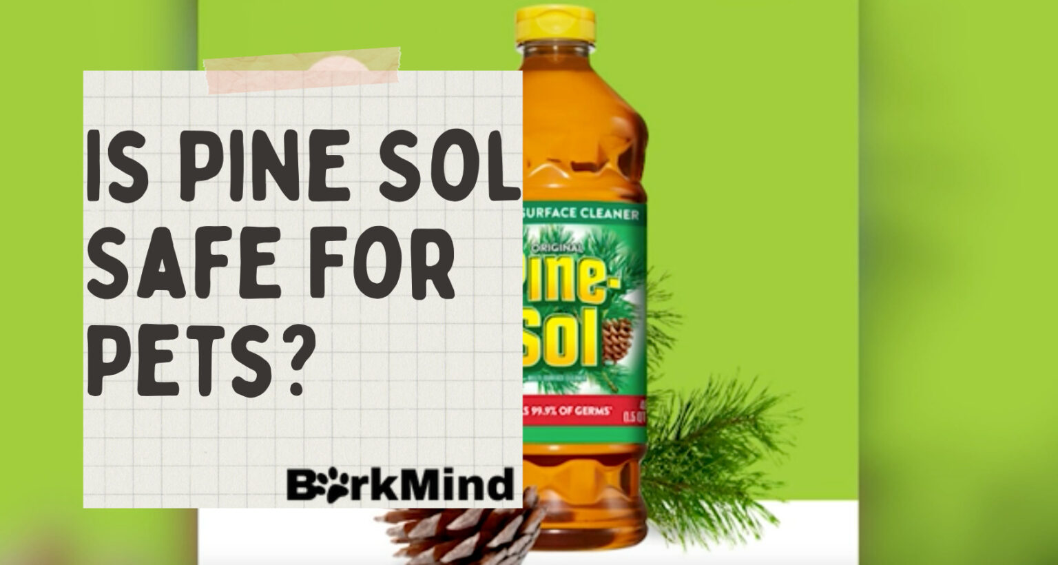 Is Pine-Sol Safe for Dogs? Revealed - Barkmind