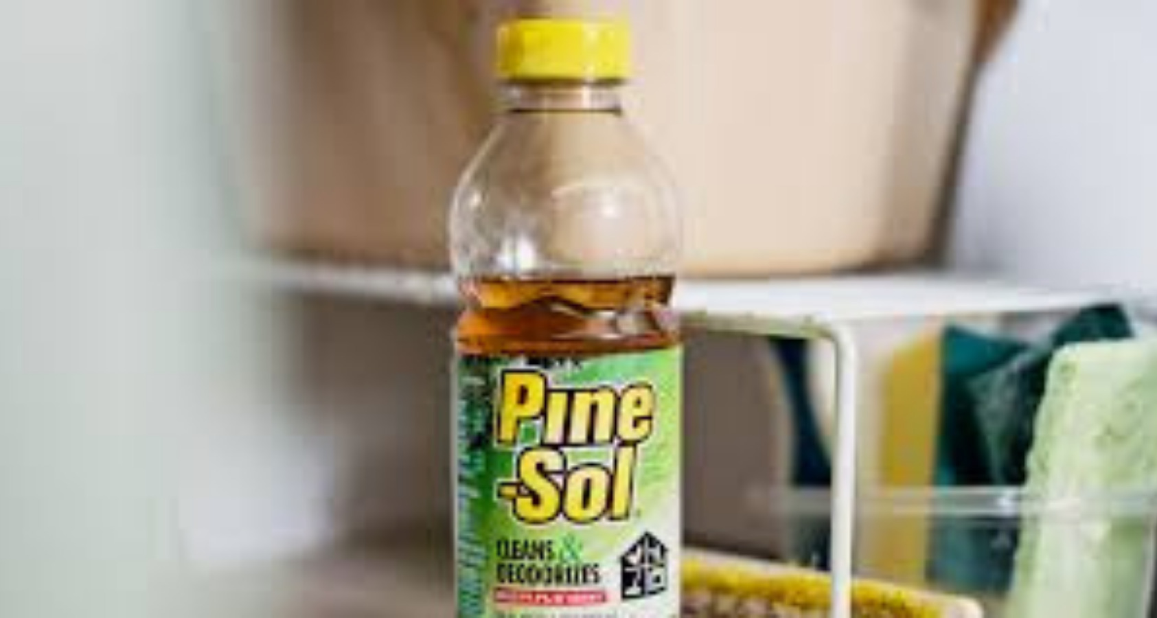 Pine-sol picture. Not good for dogs