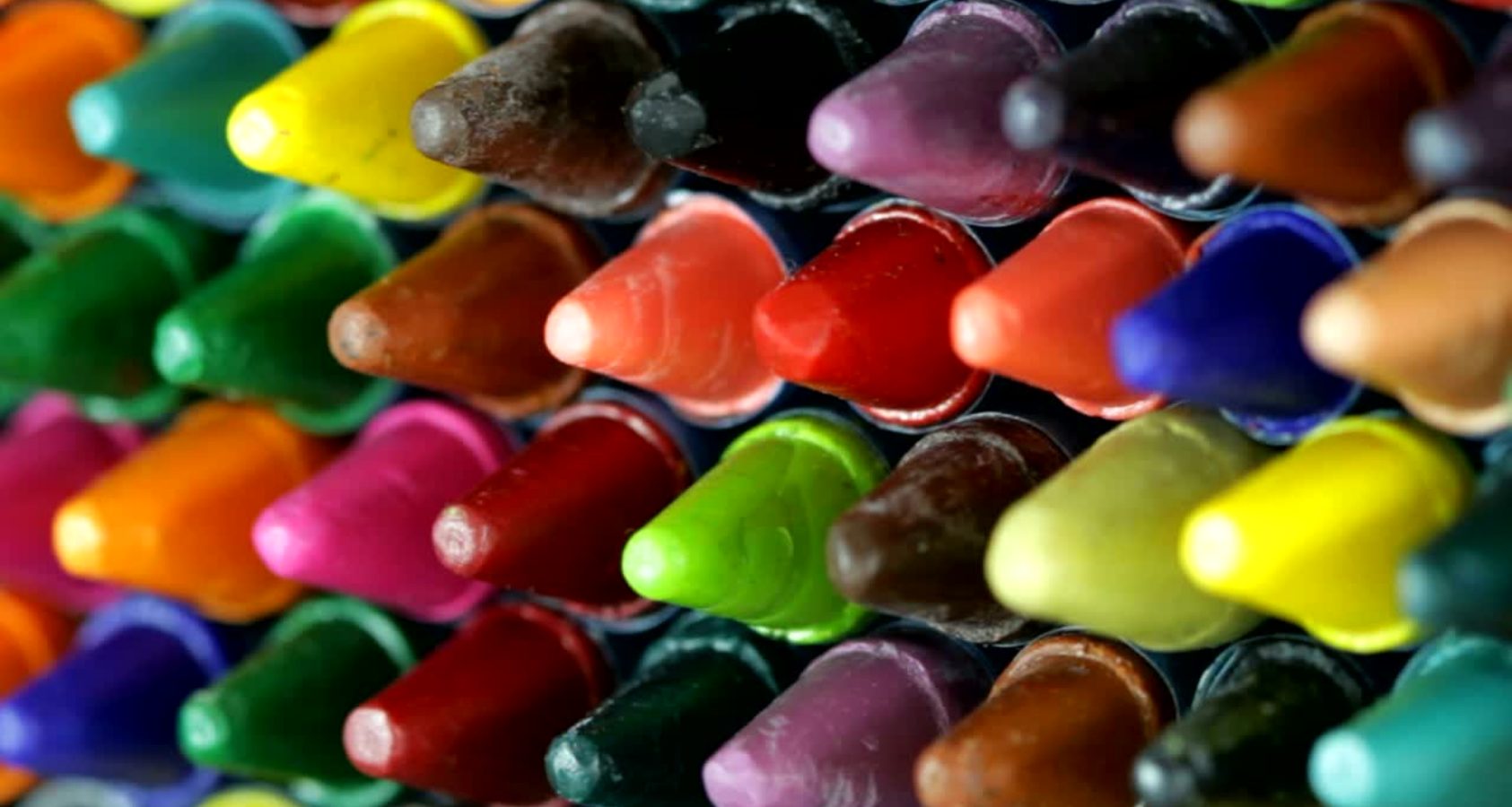 My Dog Ate a Crayon! Now What? Barkmind