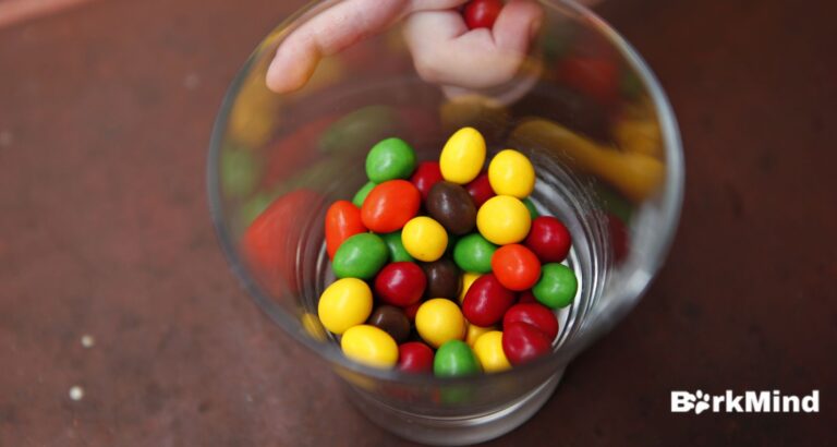 Can My Dog Eat M&Ms? The Truth About Chocolate and Dogs