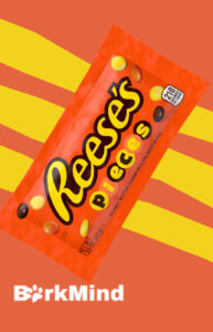 Can Dogs Eat Reese's Pieces? Here's What the Experts Say