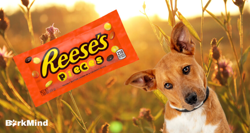 reeses pieces for dogs