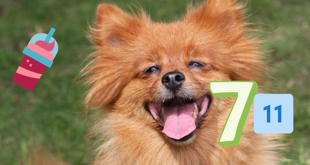 Can a Dog Eat Froot Loops? Barkmind