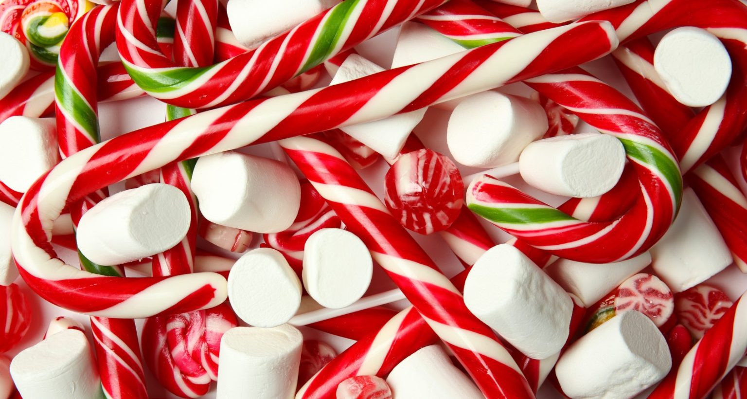 Can Dogs Eat Candy Canes? Answered! Barkmind
