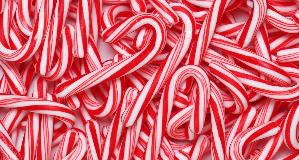 Can Dogs Eat Candy Canes? Answered!
