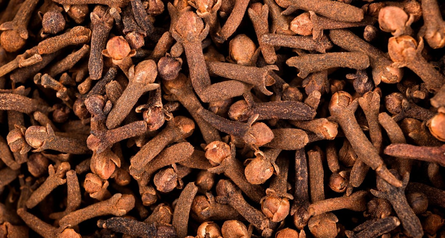 Can Dogs Eat Cloves? What Experts Say - Barkmind