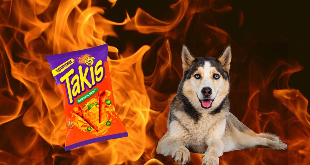 can dogs eat spicy