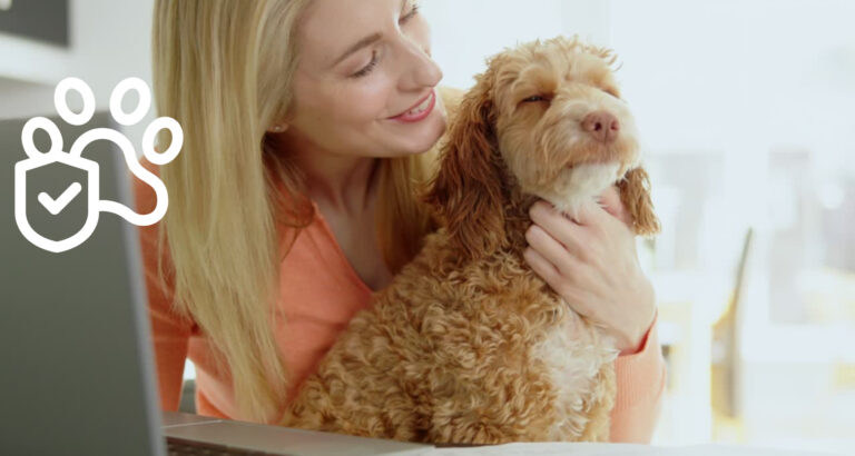6 Important Things To Know Before You Purchase Pet Insurance
